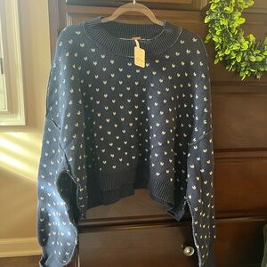 Free People Navy and White Crew Neck Sweater